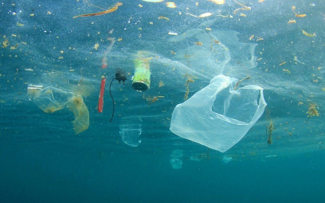 Living plastic-free: Time to get serious about saving