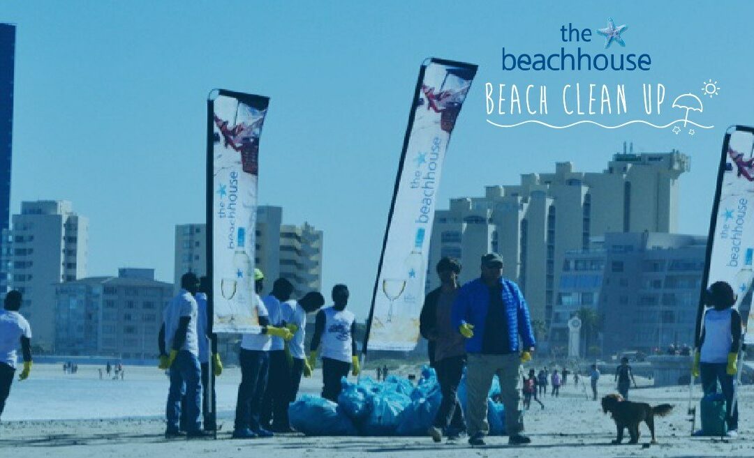 The Impact of Cleaner Beaches
