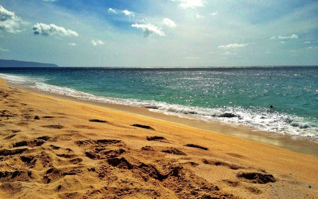 The impact of cleaner beaches